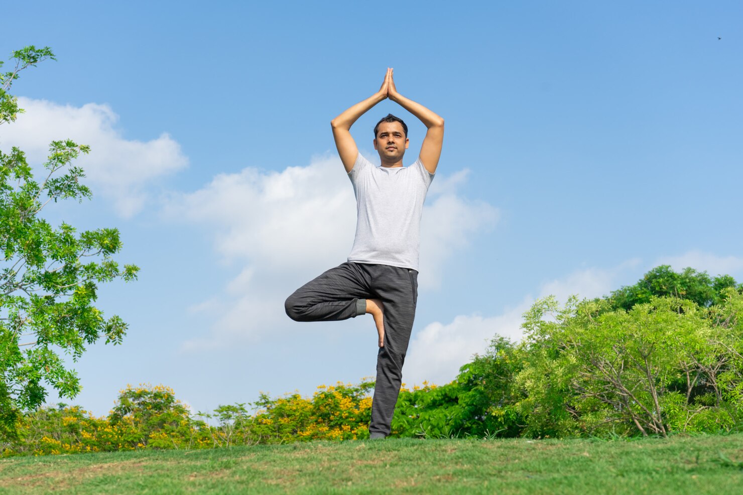 Vitamins For Calm And Focus